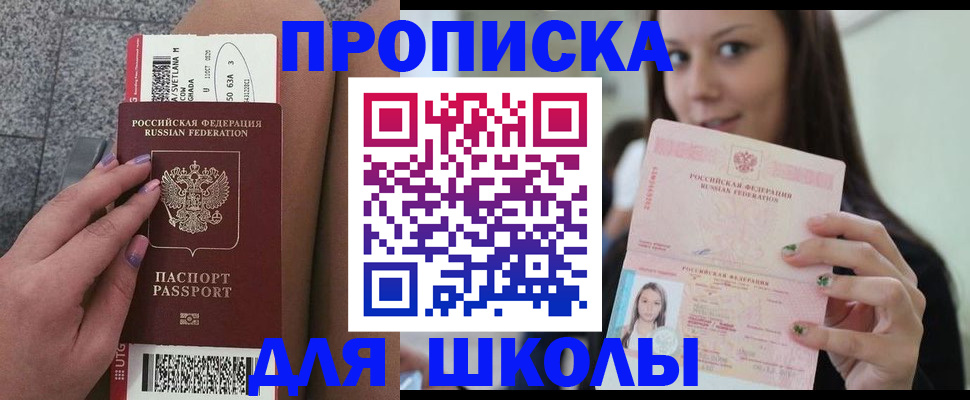 прописка гарантия в Светлогорске